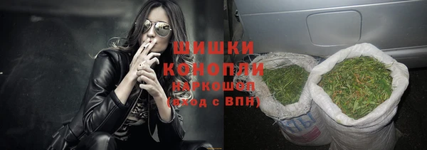 ГАЛЛЮЦИНОГЕННЫЕ ГРИБЫ Медногорск