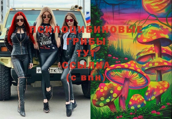 МДПВ Медвежьегорск