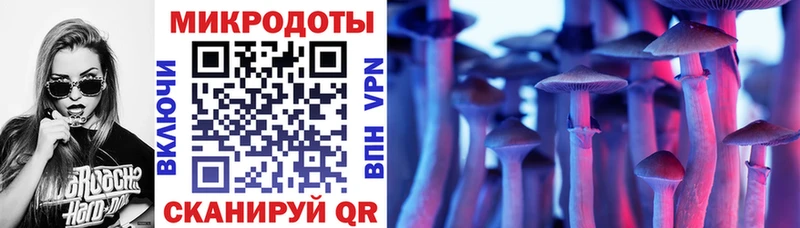 где можно купить   Магас  мориарти телеграм  Псилоцибиновые грибы Psilocybine cubensis 