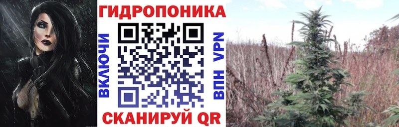 что такое   Магас  Канабис Ganja 
